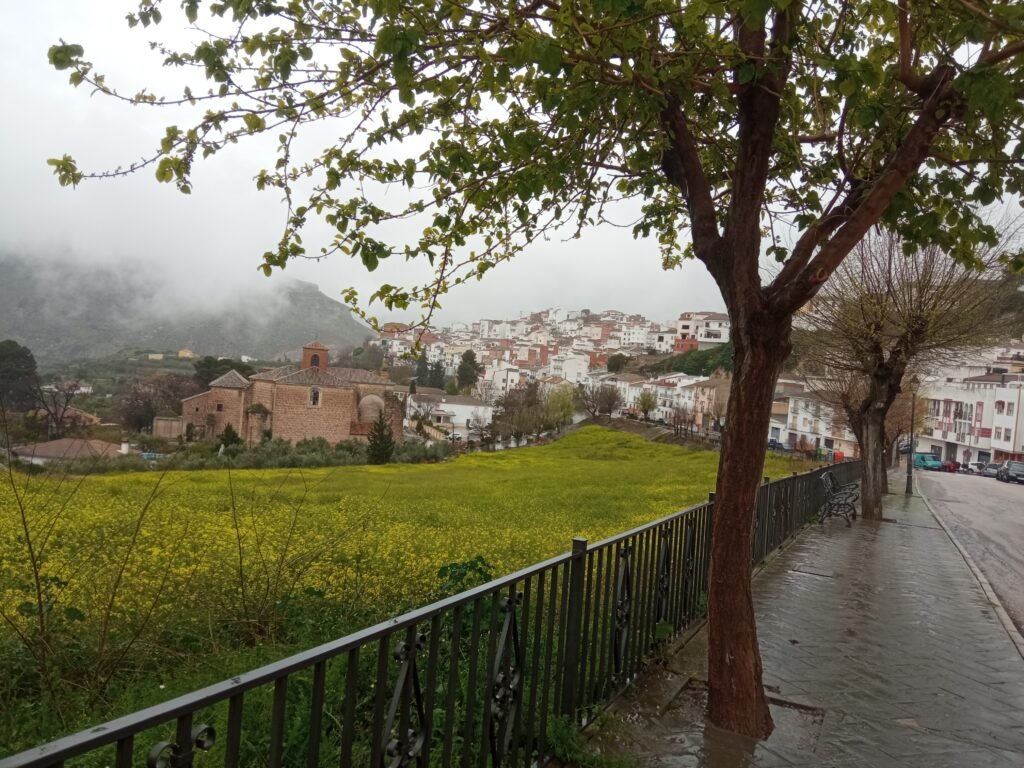Abogado en la Guardia de Jaén